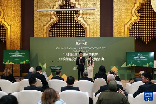 絲路古韻綻新聲 中埃絲路文化遺產(chǎn)國際交流活動(dòng)在開羅成功舉辦